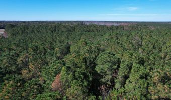 7 90 Acres-TBD Puncheon Creek Dr, Andrews, SC 29510