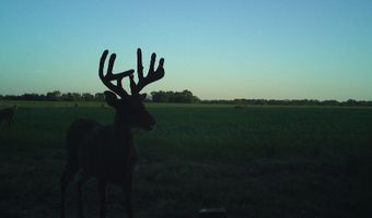 607 Hwy 69, Arma, KS 66712