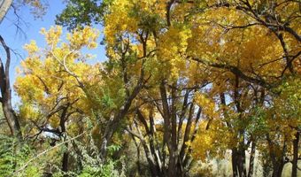 22 23 24 Private Drive 1617A, Abiquiu, NM 87510