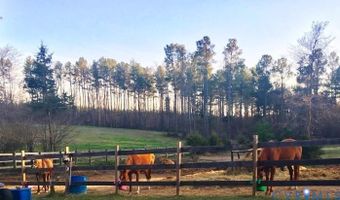 5 Acres Benchmark Trl, Amelia, VA 23002