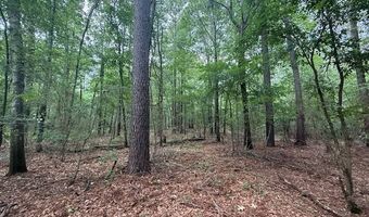 Carbon Plant Road, Bastrop, LA 71220