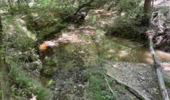 C 00 Hwy 220 W, Lincolnton, GA 30817