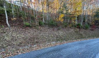 Musket Dr lot 66, Almond, NC 28702