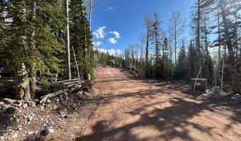 468 E Trail Rd, Brian Head, UT 84719