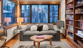 1345 Mayflower Ct, Aspen, CO 81611