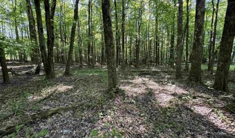 Parcel 7 N Bunner Ridge Road, Fairmont, WV 26554