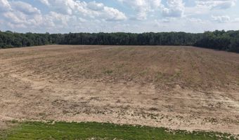 Dawling Bayou Road, Anguilla, MS 38721