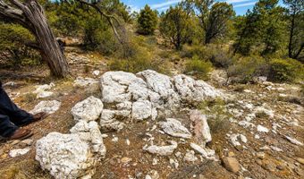 N Dominique Drive, Chino Valley, AZ 86323