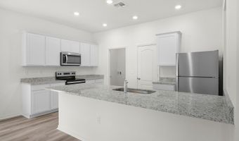 13390 Tula Loop Plan: Driftwood, Astatula, FL 34705