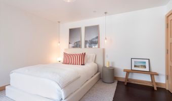 6770 Castle Creek Rd, Aspen, CO 81611