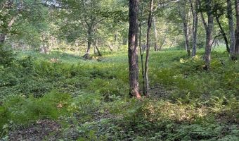 Cummings Lane, Acton, ME 04468