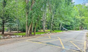 1425 Red Butte Dr, Aspen, CO 81611