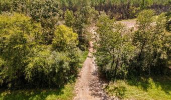 R53358 Tract 2 HWY 94, Apple Springs, TX 75926