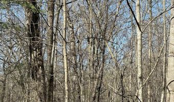 N Center Ridge Place, Baneberry, TN 37890