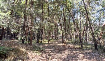 5010 Old Hwy 99, Ashland, OR 97520