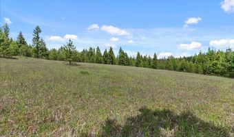 Nna Mesa Drive, Careywood, ID 83809