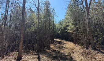 MOUNTAIN CUT RD lot D, Appomattox, VA 24522