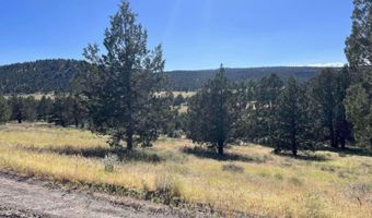 639 Pheasant Dr, Alturas, CA 96101