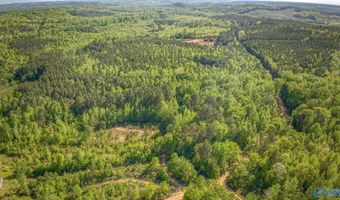 87 Acres Kay Hollis Rd, Beaverton, AL 35544