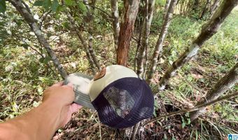 6150 SHOAL CREEK Rd 124+/- Acres, Ashville, AL 35953