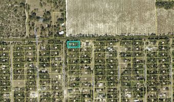 2320 Wellington Ave, Alva, FL 33920