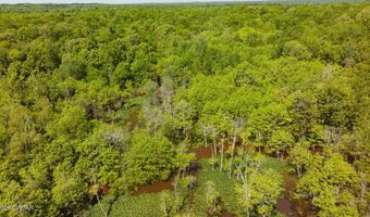 Beech Bluff Road, Beech Bluff, TN 38313