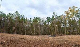 00002 Trickhambridge Rd, Brandon, MS 39042