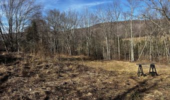 1361 Weaver Hollow Rd, Andes, NY 13731