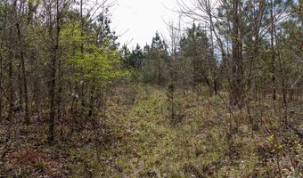 Tbd Pump Station Rd, Ashdown, AR 71822