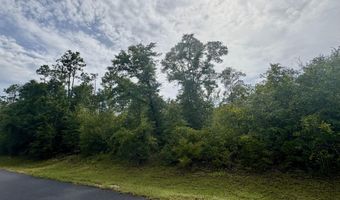 View Drive lot 8, Alford, FL 32420