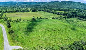 Hwy 247/Griffin Flat Road, Atkins, AR 72823