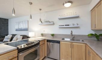 210 E Cooper Ave 1C, Aspen, CO 81611