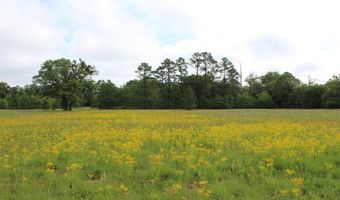 2901 Bethune Rd, Bethune, SC 29009
