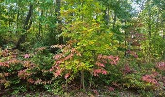 Fox Hollow Dr lot 17, Bastian, VA 24314