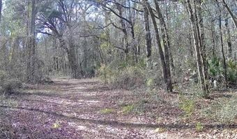 4814 NW 244 Ave, Alachua, FL 32615