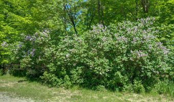 8134 NW Ruttan Rd, Alden, MI 49612