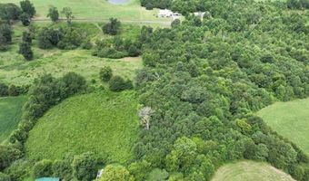 271 Myles St, Albertville, AL 35951
