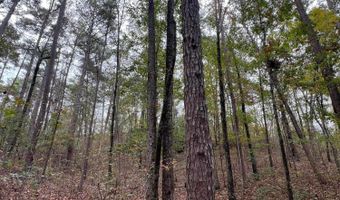 141 144 COUNTY RD 219, Arley, AL 35541