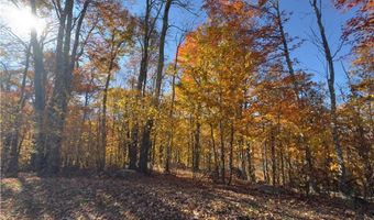 Tbd Larkspur Trail, Banner Elk, NC 28604