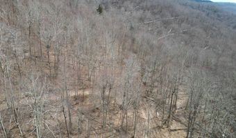 0 TBD Elleber Sods Rd, Bartow, WV 24920
