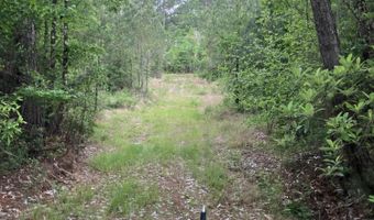 40 Acres Forestry Road 356, Beaumont, MS 39423