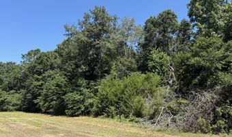 006 H Wallace Buie Rd, Ashford, AL 36376