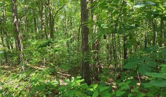 0 Lawson Federal, Ball Ground, GA 30107