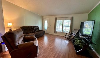 56233 WATER OAK Rd, Astor, FL 32102