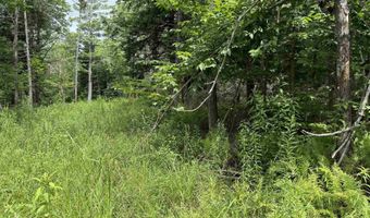 1386 Clif Reynolds Rd, Cambridge, VT 05444