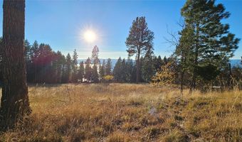 Nhn Sylvan Drive, Bigfork, MT 59911