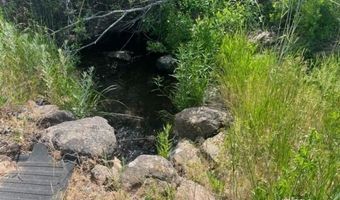 680-550 Butte Creek Rd, Adin, CA 96006