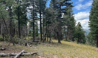 Lot 310 S Vail Overlook, Angel Fire, NM 87710