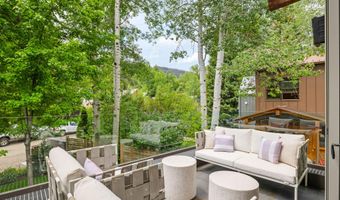 63 Smuggler Grv, Aspen, CO 81611