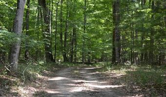 16568 WAGNER Rd, Almira, MI 49650